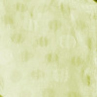 Textured Yellow Dot